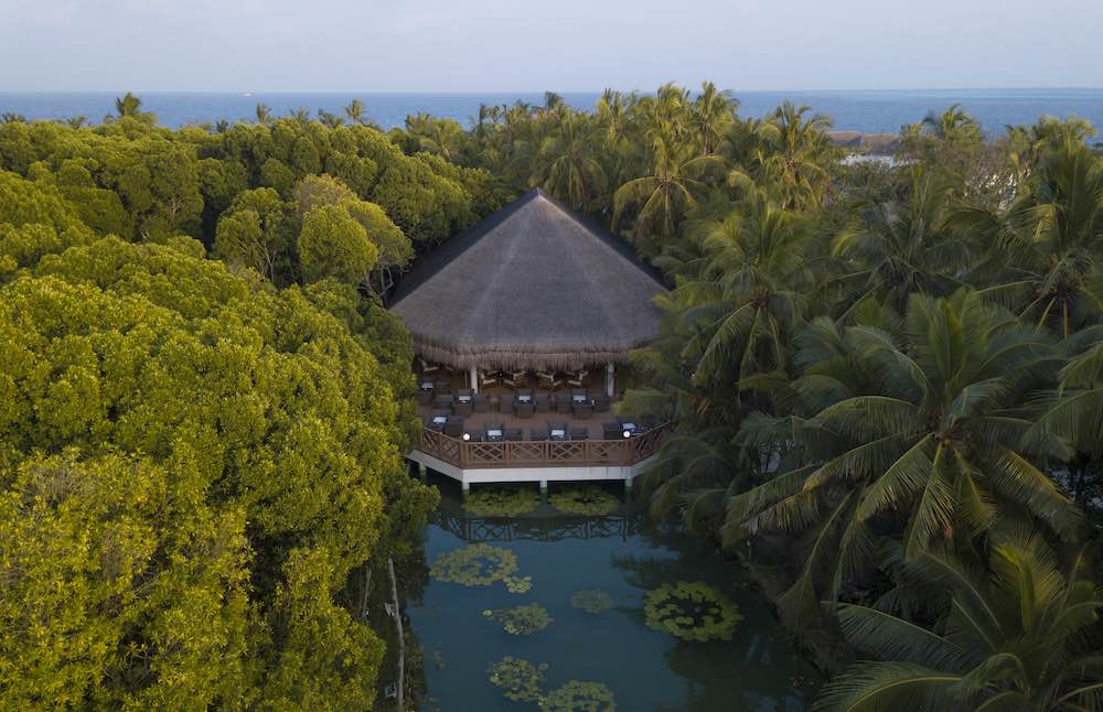 Lake View Bar
